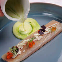 Trout fillet with buttermilk and dill